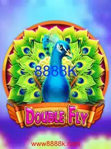 DoubleFly